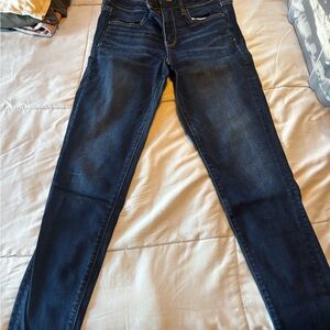 American Eagle Outfitters Navy Skinny Jeans